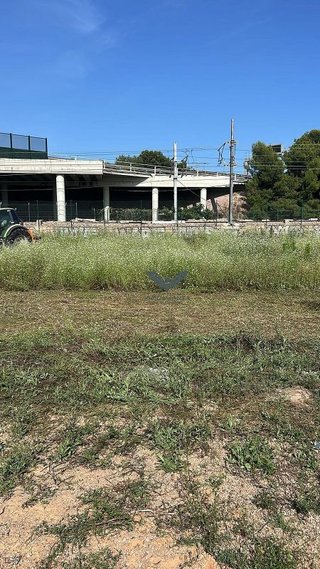 Terreno en venta en La Punta en Valencia