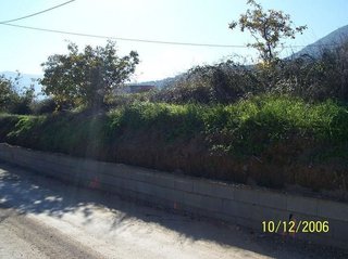 Terreno en venta en Priego de Córdoba