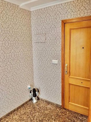Piso en venta en Algemesí
