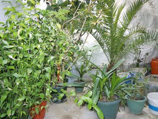 Casa en venta en Olvera
