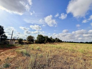 Solar en venta en Campos