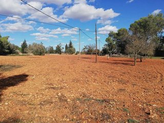 Terreno en venta en Algaida