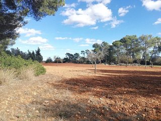 Terreno en venta en Algaida