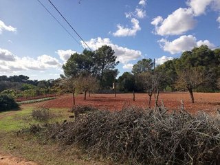 Terreno en venta en Algaida