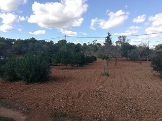 Terreno en venta en Algaida