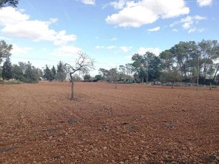 Terreno en venta en Algaida