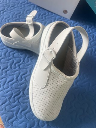 Zueco sanitario SKARPA teal