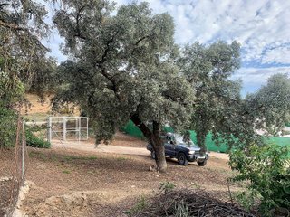 Casa rural en venta en Loja