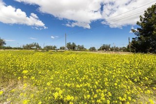Casa rural en venta en Sax