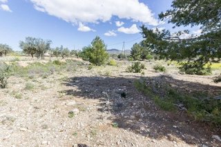 Casa rural en venta en Sax
