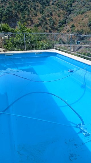 Jardinero ,pintor
