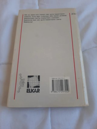 Libro Babilonia de Joan Mari Irigoien