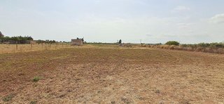 Terreno en venta en Muro en Muro