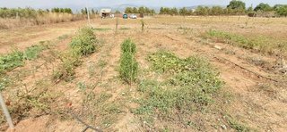 Terreno en venta en Muro en Muro