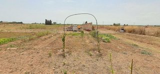 Terreno en venta en Muro en Muro