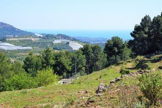 Solar en venta en Callosa d´En Sarrià