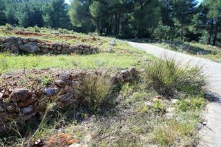 Solar en venta en Callosa d´En Sarrià