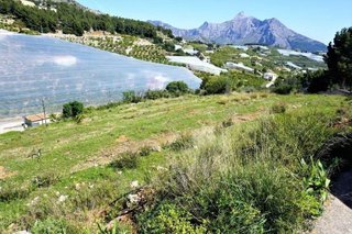 Solar en venta en Callosa d´En Sarrià