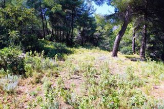 Solar en venta en Callosa d´En Sarrià