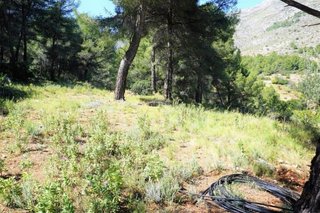 Solar en venta en Callosa d´En Sarrià