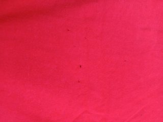 Camiseta Havana Club 5 Talla L Roja