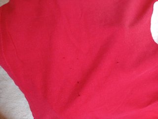 Camiseta Havana Club 5 Talla L Roja