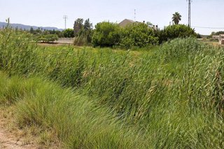 Terreno en venta en Puente Tocinos en Murcia