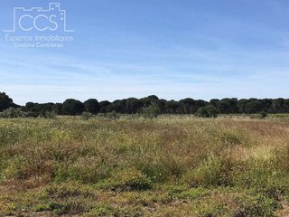 Terreno en venta en Almonte en Almonte