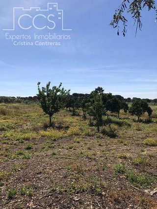 Terreno en venta en Almonte en Almonte