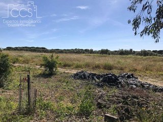 Terreno en venta en Almonte en Almonte