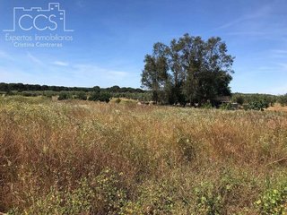 Terreno en venta en Almonte en Almonte