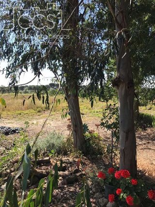 Terreno en venta en Almonte en Almonte