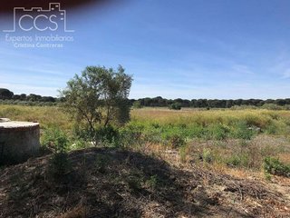 Terreno en venta en Almonte en Almonte