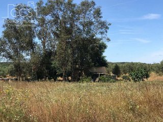 Terreno en venta en Almonte en Almonte