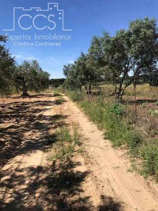 Terreno en venta en Almonte en Almonte