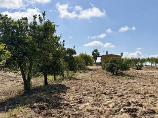 Casa rural en venta en Almonte en Almonte
