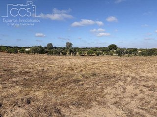 Casa rural en venta en Almonte en Almonte