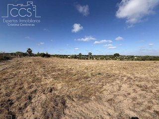 Casa rural en venta en Almonte en Almonte