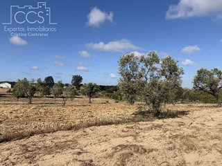 Casa rural en venta en Almonte en Almonte