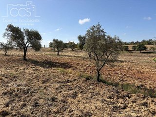 Casa rural en venta en Almonte en Almonte