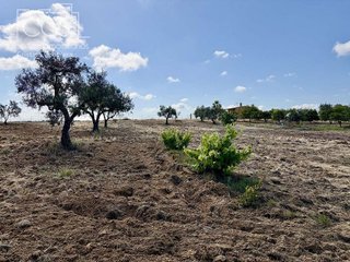 Casa rural en venta en Almonte en Almonte