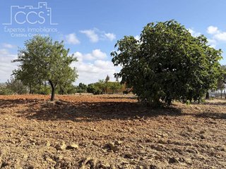 Casa rural en venta en Almonte en Almonte
