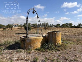 Casa rural en venta en Almonte en Almonte