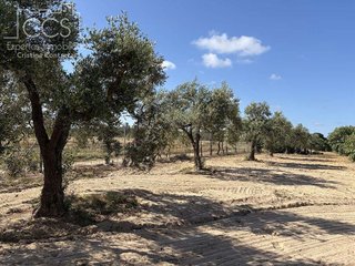 Casa rural en venta en Almonte en Almonte