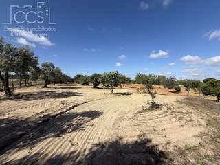 Casa rural en venta en Almonte en Almonte