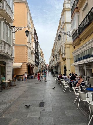 Local comercial en alquiler en Centro Histórico - Plaza España en Cádiz