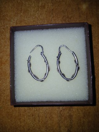 Orecchini a cerchio in argento