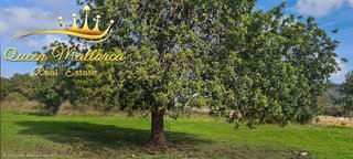 Terreno en venta en Llucmajor Interior en Llucmajor