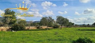 Terreno en venta en Llucmajor Interior en Llucmajor