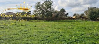 Terreno en venta en Llucmajor Interior en Llucmajor